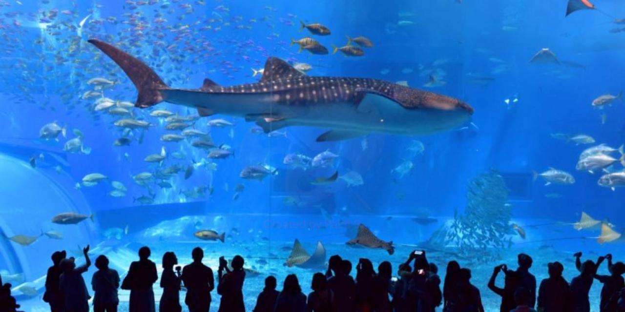 グランディオーソ沖縄ヴィラ恩納1 Onna Eksteriør bilde